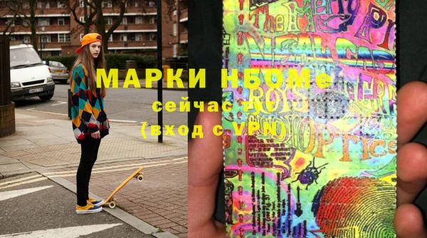 прущие грибы Магадан