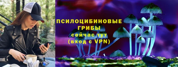 ГАЛЛЮЦИНОГЕННЫЕ ГРИБЫ Майский