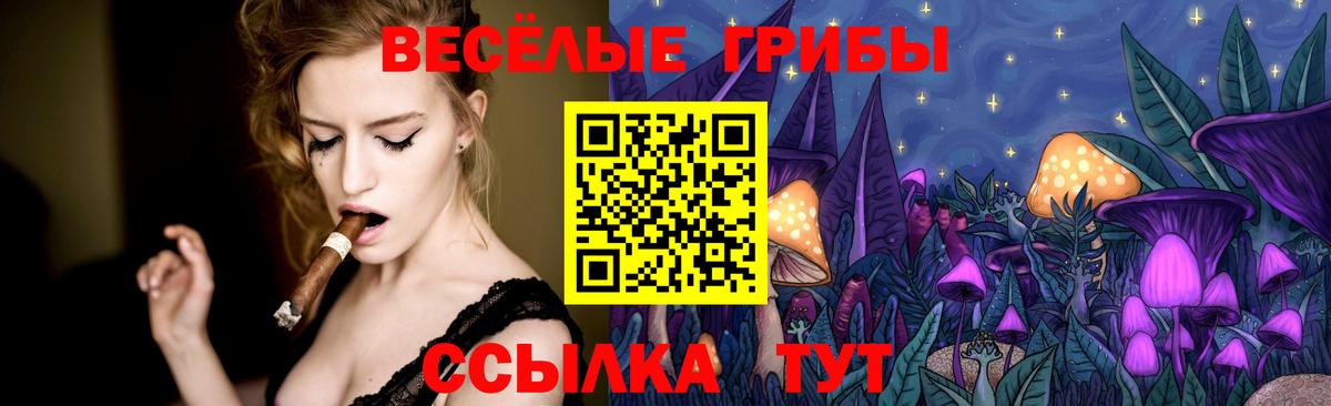 Бор  Галлюциногенные грибы GOLDEN TEACHER  Вход с VPN 